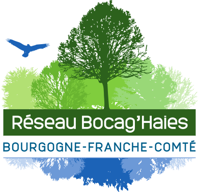Implication des collectivités dans la préservation et la valorisation des haies en Bourgogne-Franche-Comté